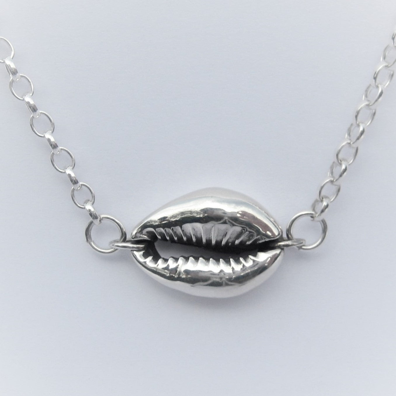 Cowrie on the horizon solid Silver
