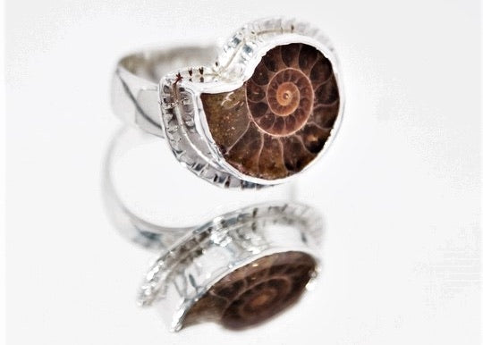Ammonite with Textured Edge Ring