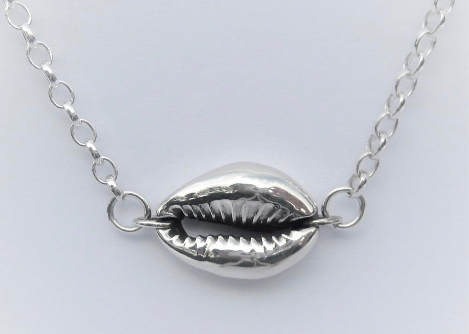 Cowrie on the horizon solid Silver